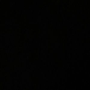 Meet your Posher, Lizzy